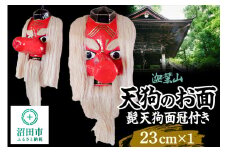迦葉山 髭天狗面冠付き 23cm 群馬県ふるさと伝統工芸 天狗のお面