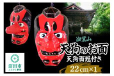 迦葉山 天狗面冠付き 22cm 群馬県ふるさと伝統工芸 天狗のお面