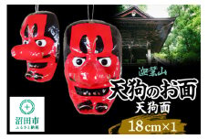 迦葉山 天狗面 18cm 群馬県ふるさと伝統工芸 天狗のお面