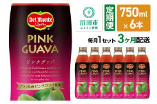 《定期便3ヶ月》デルモンテ ピンクグァバ 750ml 瓶 6本セット