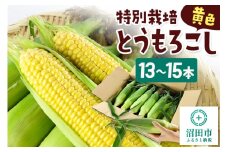 沼田市産 特別栽培のとうもろこし 13～15本 黄色 ゴールドラッシュ