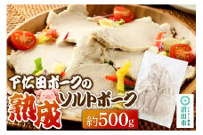 CAS印 下仁田ポークの熟成ソルトポーク 約500g 株式会社沼田魚菜市場仲卸