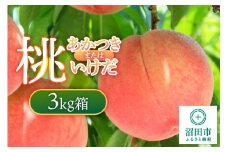 桃「あかつき」または「いけだ」3kg箱 フルーツ王国松井