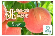 桃「あかつき」または「いけだ」5kg箱 フルーツ王国松井