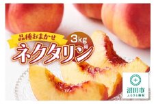 品種おまかせネクタリン 3kg箱 フルーツ王国松井