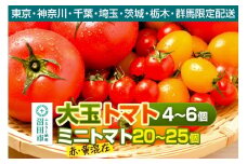 《関東発送限定》沼田市産 大玉トマト「れおん」4～6個・ミニトマト20～25個 詰め合わせ