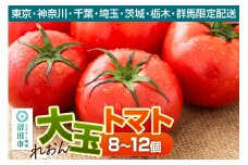 《関東発送限定》沼田市産 大玉トマト「れおん」8～12個 詰め合わせ
