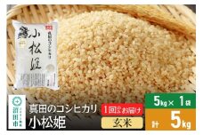 【玄米】令和7年産 新米受付 真田のコシヒカリ小松姫 5kg×1袋 金井農園