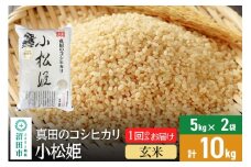 【玄米】令和7年産 新米受付 真田のコシヒカリ小松姫 10kg（5kg×2袋） 金井農園