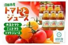 《関東発送限定》沼田市産 トマトとジュースのセット（大玉トマト・ミニトマト・トマトジュース）