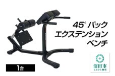 SS-G 45°バックエクステンションベンチ BN531000 トレーニング器具 筋トレ ホームジム ウエイト 株式会社セノテック