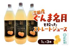 沼田産ぐんま名月だけを搾ったストレートリンゴジュース 3本セット 真田りんご園