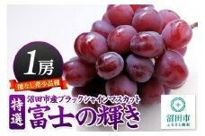 《9月下旬～11月上旬発送》沼田市産 特選 富士の輝き（ブラックシャインマスカット）1房 800g以上