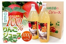 100％リンゴジュース 1000ml×2本 永井農園