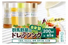 自家製・群馬産野菜で手作りドレッシング（くるみ、にんじん、ゆず、みそごま、えごま）200ml×各1本 泙川食品
