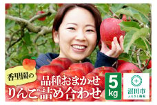 《10月上旬～11月下旬発送》香里園の品種おまかせ りんご詰め合わせ 5kg