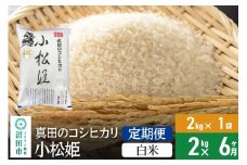 【白米】《定期便6回》令和7年産 新米受付 真田のコシヒカリ小松姫 2kg×1袋 金井農園