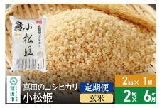 【玄米】《定期便6回》令和7年産 新米受付 真田のコシヒカリ小松姫 2kg×1袋 金井農園