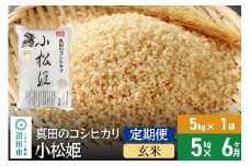 【玄米】《定期便6回》令和7年産 新米受付 真田のコシヒカリ小松姫 5kg×1袋 金井農園
