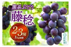 沼田市産 ぶどう 藤稔 2～3房（1kg前後）