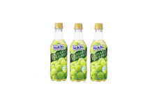Welch's 旬のマスカットスパークリングPET450ml　24本【1335976】