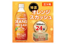 『三ツ矢』特濃オレンジスカッシュPET500ml　24本【1335970】