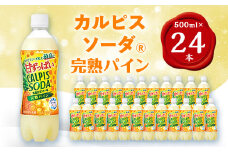 『カルピスソーダ』完熟パインPET500ml　24本【1336017】