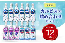 カルピス470ml×カルピス完熟巨峰470ml×カルピス糖質60%オフ470ml　12本セット【1336033】
