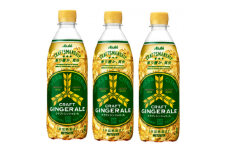 三ツ矢クラフトジンジャーエールPET500ml　24本【1345119】