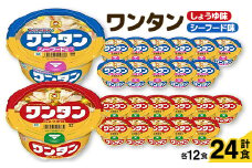 ワンタン　しょうゆ味・シーフード味　各12食セット【1335779】