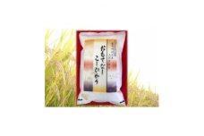 ＜毎月定期便＞筆屋米穀店のおもてなしこしひかり(群馬県産)　精米5kg 全12回【4005519】