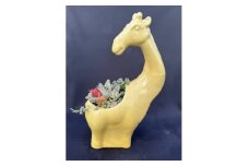 サボテン相談室のキリンさん多肉植物寄せ植え(種類おまかせ)【1475186】