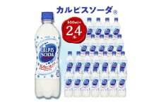 ＜2ヵ月毎定期便＞『カルピスソーダ』PET500ml　24本　隔月全6回【4011135】