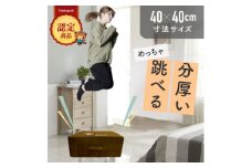 ぽんちゃん トランポリンクッション (ココアブラウン) 40cm×40cm 高反発 室内用【1568232】