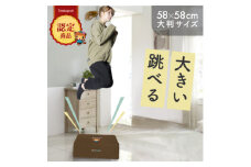 ぽんちゃん トランポリンクッション (ココアブラウン) 58cm×58cm 高反発 室内用【1568236】