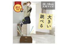 ぽんちゃん トランポリンクッション (ココアブラウン) 58cm×58cm 高反発 室内用【1568236】