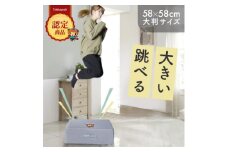 ぽんちゃん トランポリンクッション (ライトグレー) 58cm×58cm 高反発 室内用【1568238】