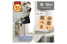 ぽんちゃん トランポリンクッション (パウダーブルー) 50cm×50cm 高反発 室内用【1568244】