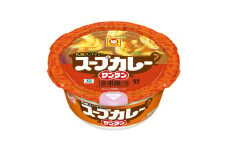 スープカレー　ワンタン　12食【1579865】