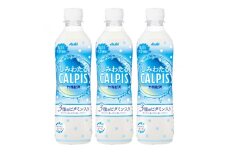 「しみわたるカルピス(R)」PET 490ml×24本【1604067】
