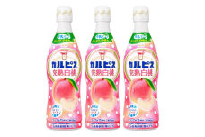 「カルピス(R) 完熟白桃」プラスチックボトル 470ml×12本【1604081】