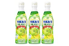 「カルピス(R) 芳醇メロン」プラスチックボトル 470ml×12本【1604191】