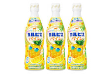 「カルピス(R) トロピカルパイン」プラスチックボトル 470ml×12本【1604181】