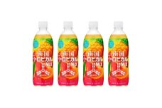『三ツ矢』南国トロピカルMIX PET 500ml×24本【1645396】