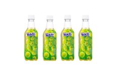 『Welch’s』粒選りマスカットスパークリング PET 450ml×24本【1645403】