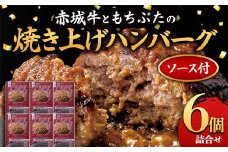 赤城牛と和豚もちぶたのハンバーグ 6個詰め合せ（ソース付き） セット レトルト 食品 湯せん 湯煎 一人暮らし F4H-0061