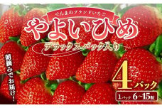 朝摘みでお届け！ぐんまのブランドいちご「やよいひめ」 デラックスパック入り大粒 4パック イチゴ 苺 期間限定 フルーツ 果物 F4H-0037