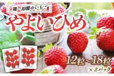 陽一郎園の大粒いちごＷ（ダブル） いちご イチゴ 苺 フルーツ 果物 F4H-0031