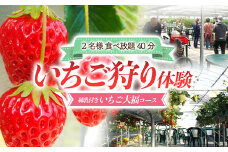 いちご狩り体験 2名様 食べ放題40分 練乳付き いちご大福コース 【現地体験型】 利用券 チケット 観光 旅行 イチゴ 苺 F4H-0032
