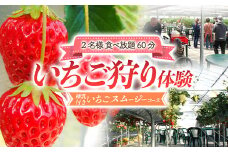 いちご狩り体験2名様 食べ放題1時間 練乳付き いちごスムージーコース 【現地体験型】 利用券 チケット 観光 旅行 イチゴ 苺 F4H-0033